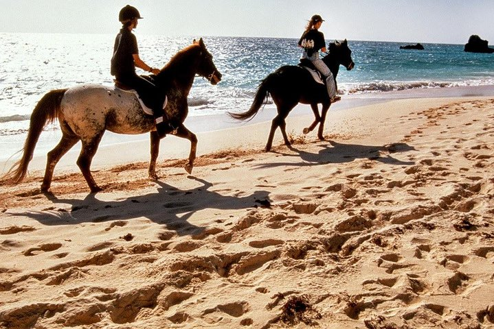 Krabi Horse Riding Program - Photo 1 of 5