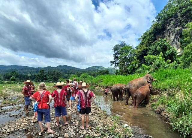 Mae Wang Elephant Camp and Zipline Tour in Chiang Mai - Photo 1 of 10