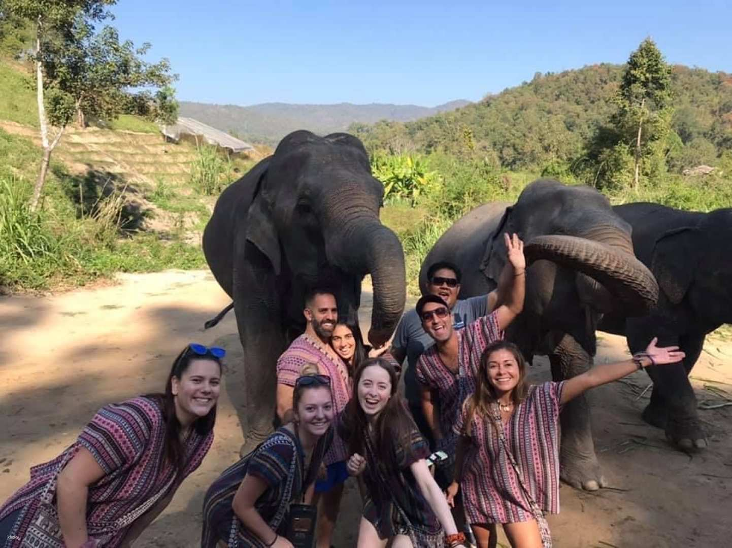 Mae Wang Po Ngurn Elephant Sanctuary Joined Tour | Chiang Mai - Photo 1 of 5