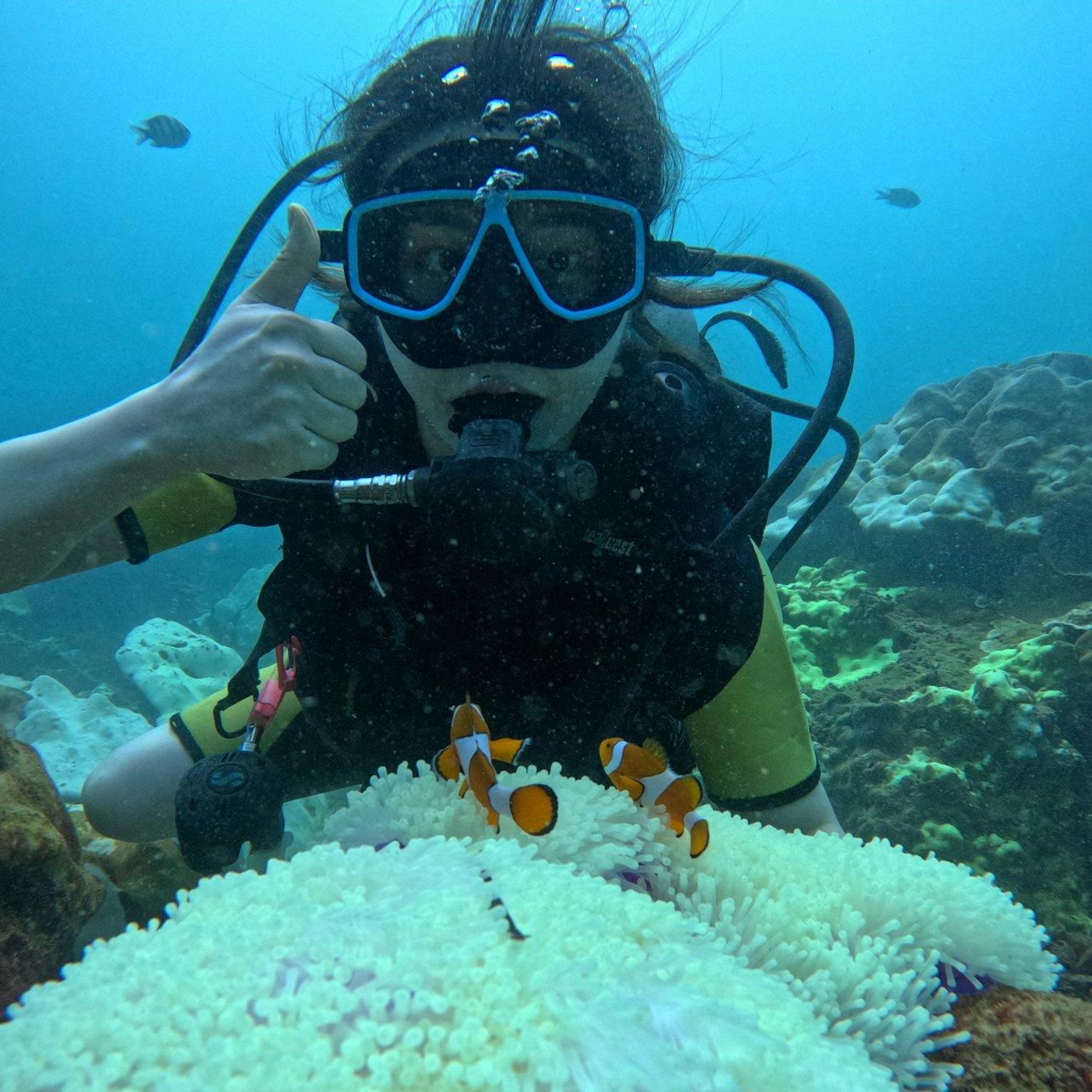 Maiton Island: Half-Day Small Group Scuba Diving Excursion from Phuket - Photo 1 of 20