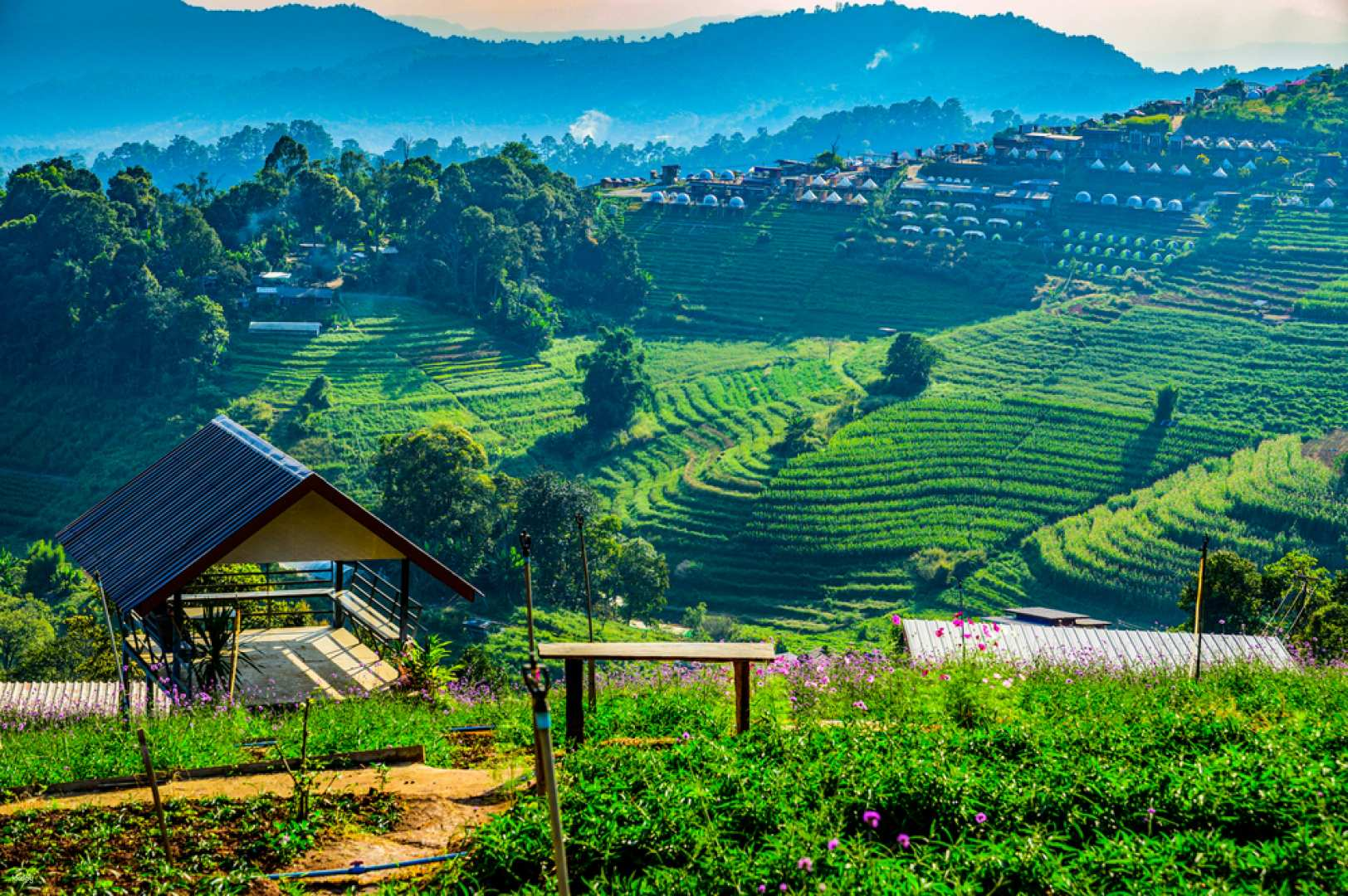 Mon Jam Day Tour with Vineyards and Jungle Coaster & Zipline  | Chiang Mai, Thailand - Photo 1 of 9