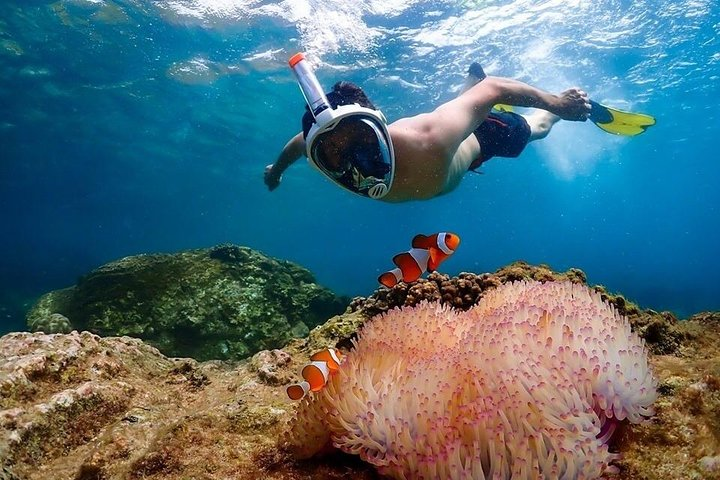 Nemo Island Experience with Drone Photos and Lunch - Photo 1 of 25