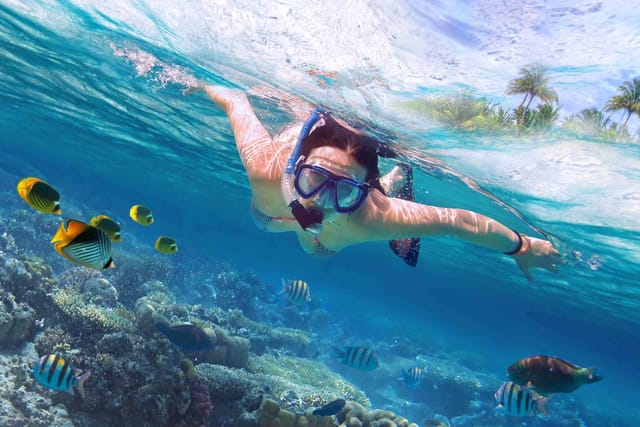 nemo-island-snorkeling-experience-pattaya_1