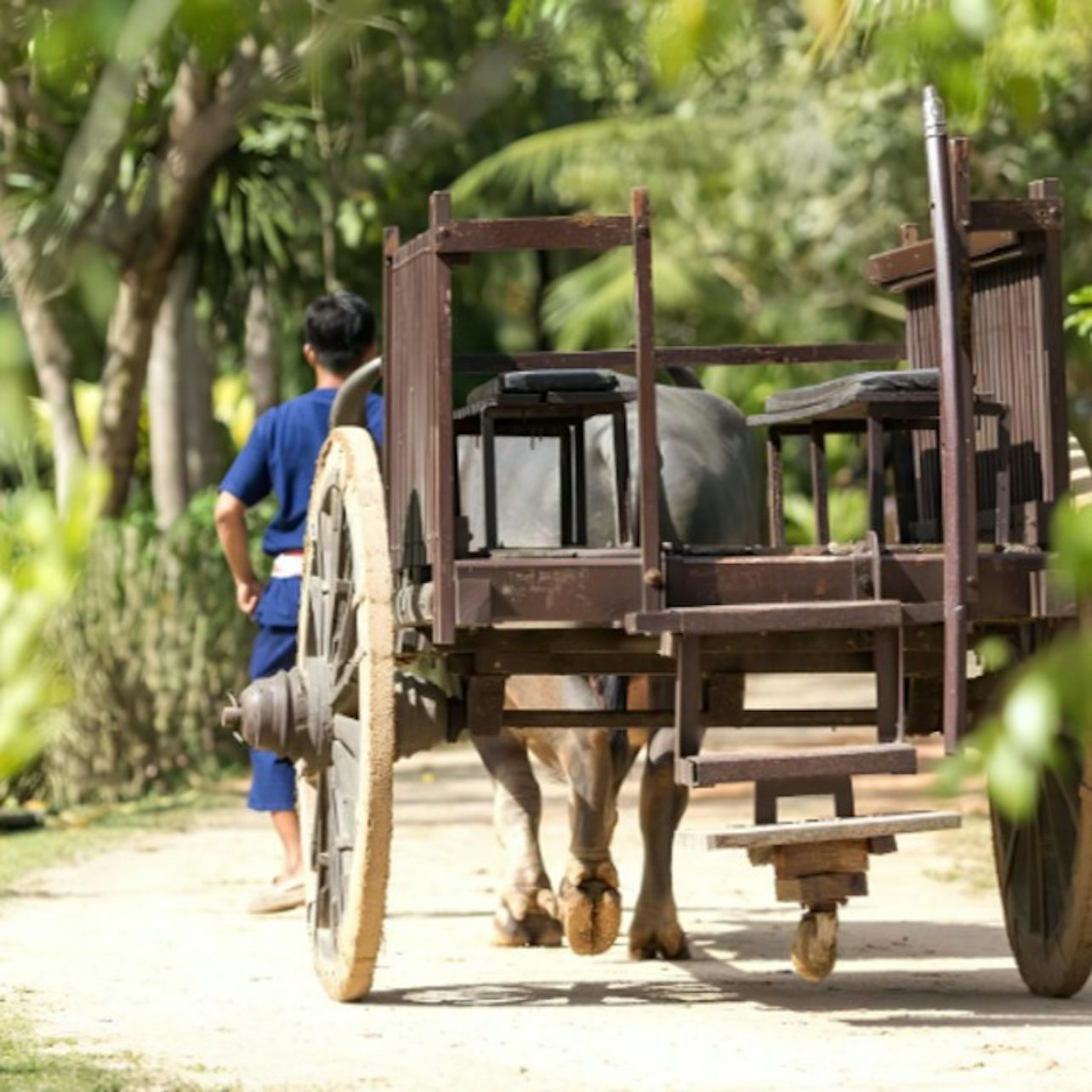 Old Phuket Farm: Guided Tour - Photo 1 of 21