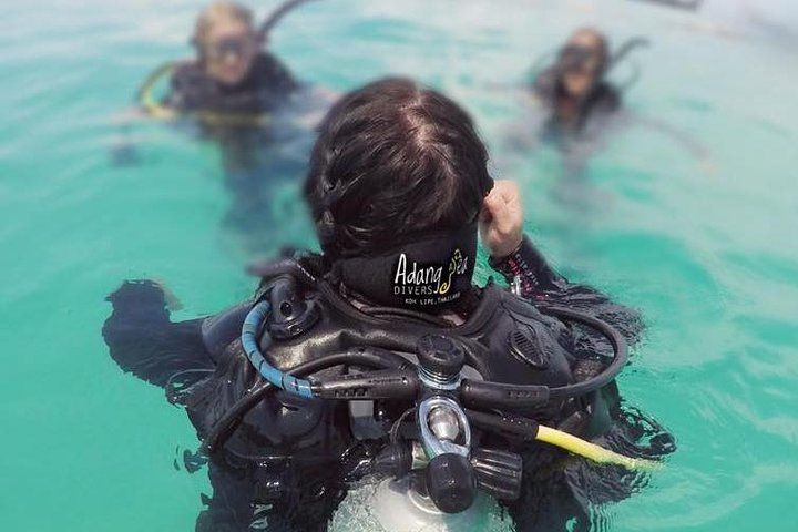 Open Water Diver Course - Photo 1 of 6