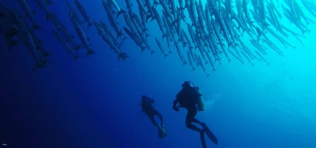 PADI Open Water + Advanced Diver Courses from Phuket | Thailand - Photo 1 of 10