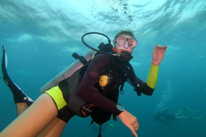 PADI Open Water Diver Course in Koh Phangan - Photo 1 of 6