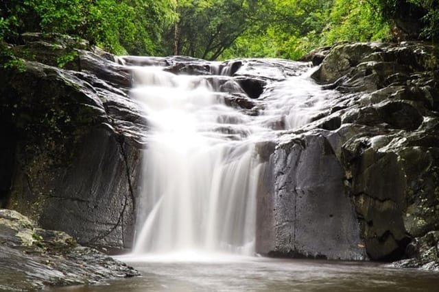 Pala U Waterfall in Kaeng Krachan Jungle with Private Guide from Hua Hin - Photo 1 of 10