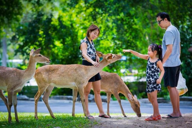 Pattaya Khao Kheow Open Week + Cave Beach Club Half-Day Tour (Morning or Afternoon Itinerary) | Thailand - Photo 1 of 10