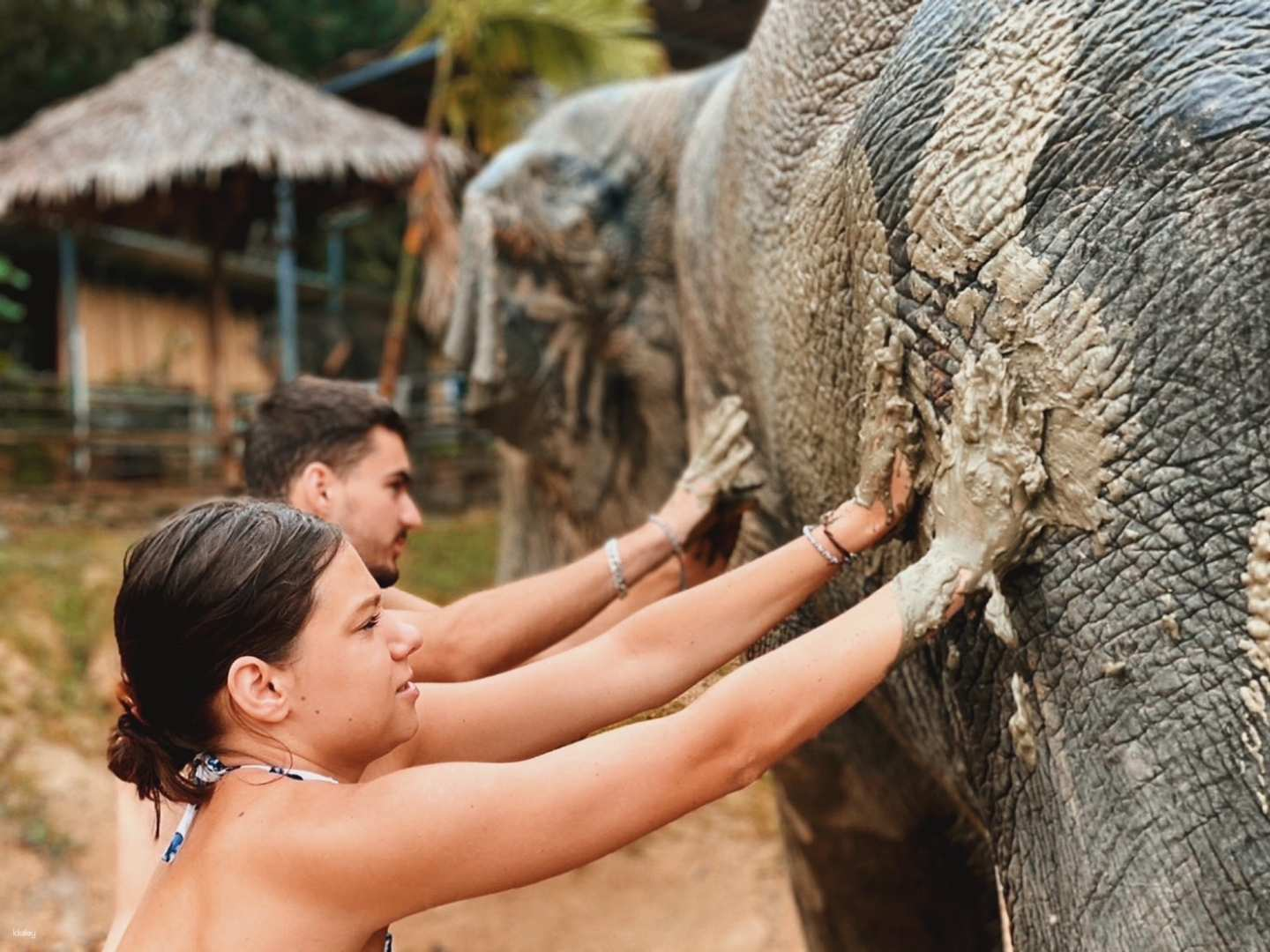 Phuket Elephant Care Experience (Nai Thon) | Thailand - Photo 1 of 7