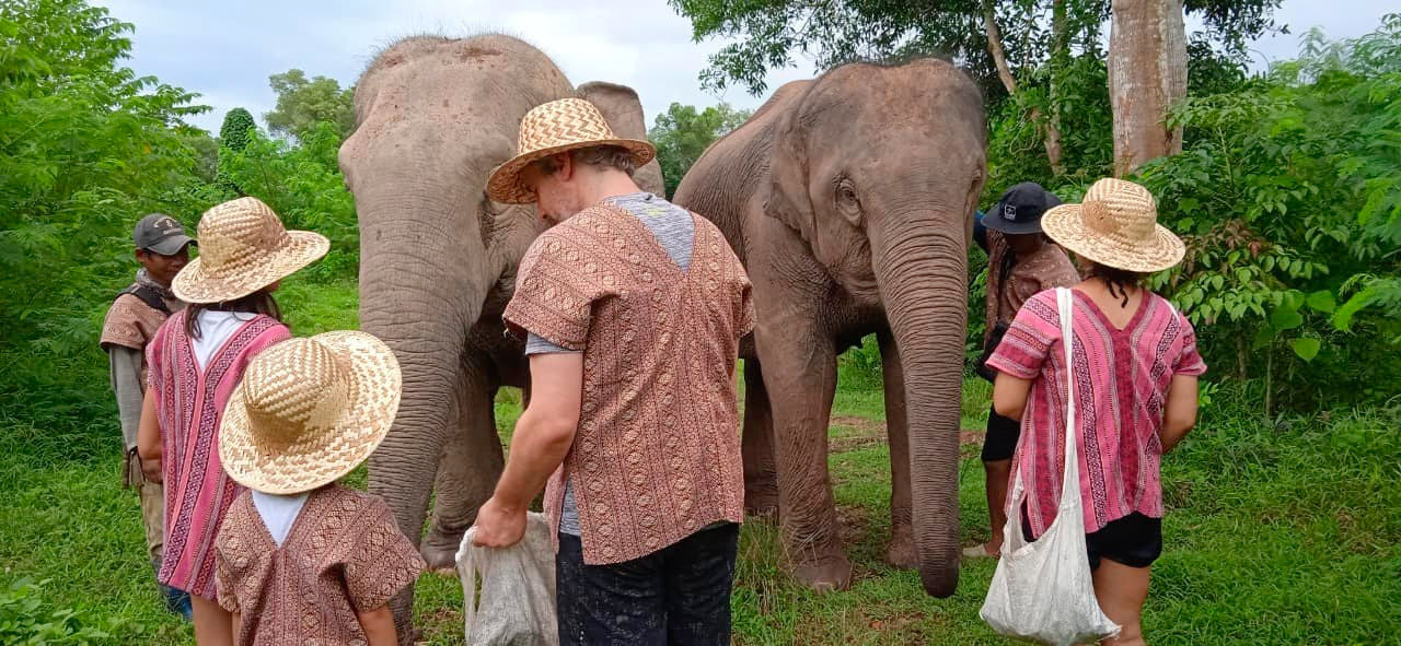 Phuket: Elephant Sanctuary Small Group Tour - Photo 1 of 10