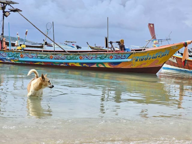 Phuket Hidden Islands: Ko Kaeo & Ko Bon with Local Fisherman by Longtail Boat | Thailand - Photo 1 of 8