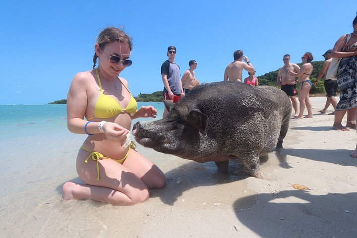 Pig Island Private Longtail Boat Trip From Koh Samui - Photo 1 of 25