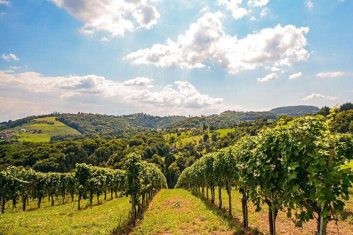 Private Experience of Wine Tasting Hua Hin in Monsoon Valley - Photo 1 of 6