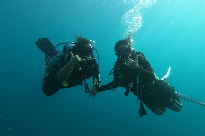 Private Half-Day Scuba Diving with expert (1Dive) - Photo 1 of 5