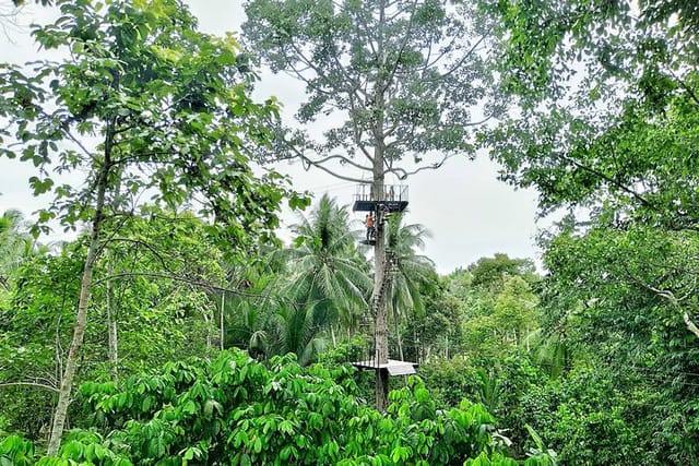 Samui Zipline Explore and Connect with Nature - Photo 1 of 25