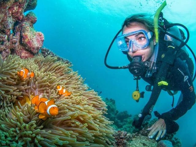 Scuba Diving Maithon at Private Island: 2 Dives from Phuket | Thailand - Photo 1 of 10