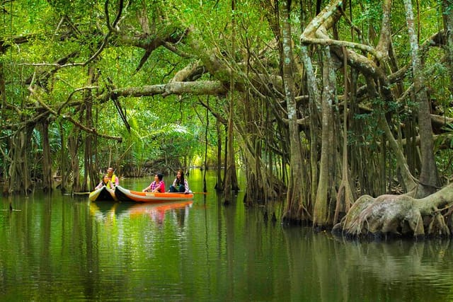 The Little Amazon and Sri Phang Nga Waterfall Full Day Tour From Khao Lak - Photo 1 of 24