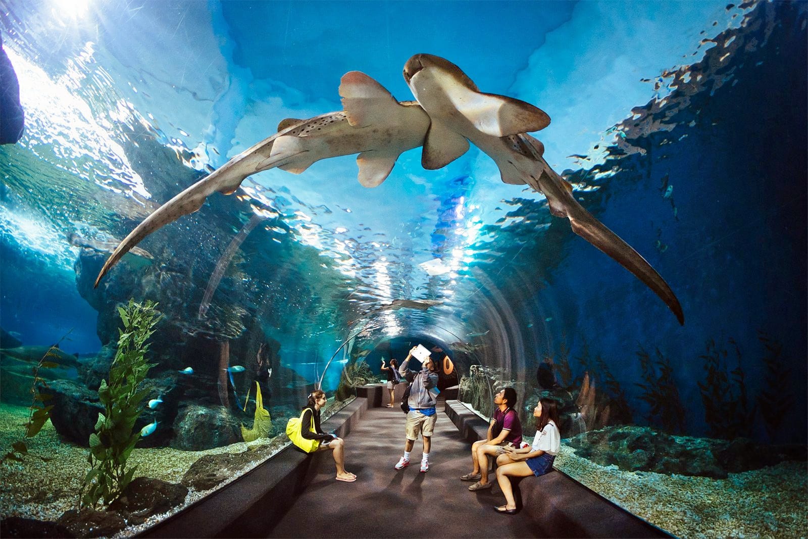 Underwater World Pattaya Tickets - Photo 1 of 7