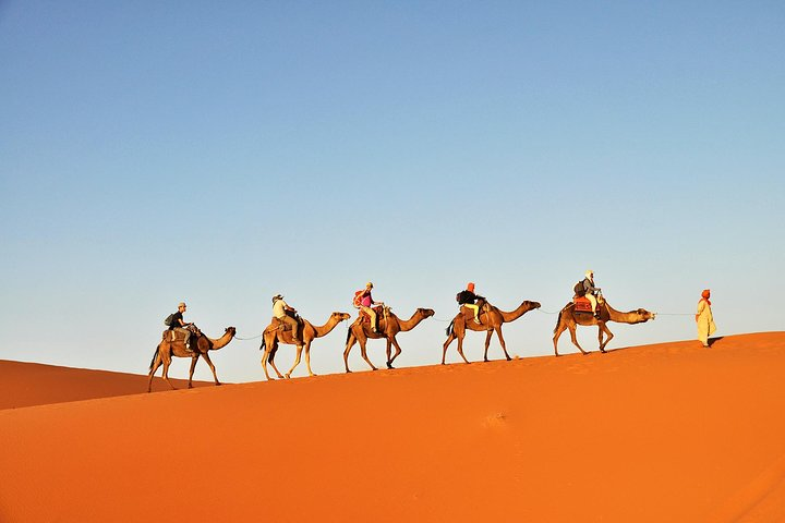 Tunisian Sahara Camel Trek