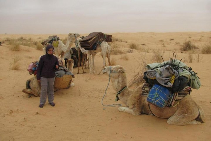 Camel ride and 1 night in the desert - Photo 1 of 10