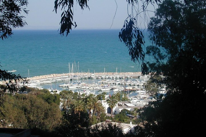 day full carthage _sidi bou said _museum of Bardo and the medina of Tunis - Photo 1 of 25