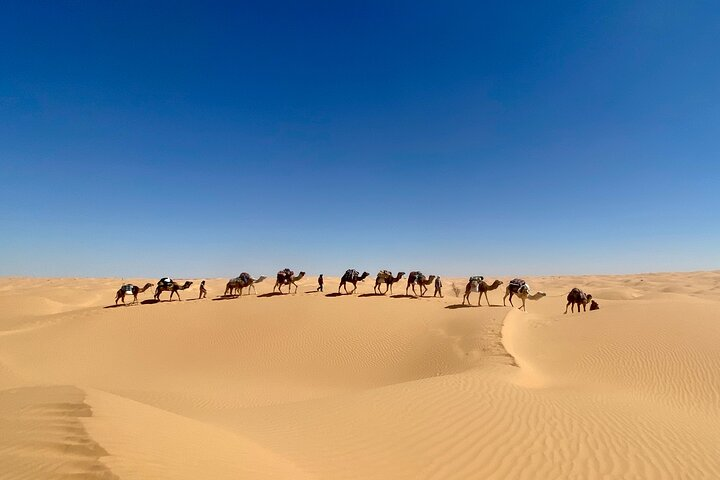 Desert tours and adventurous camel trekking through the Sahara - Photo 1 of 7