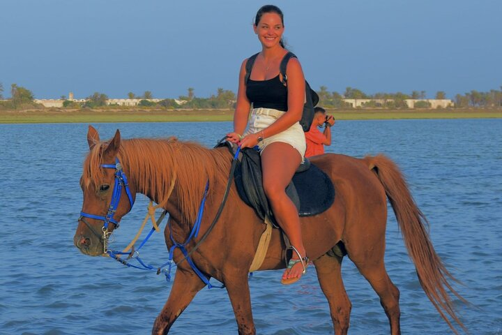 Explore Djerba with our four-legged friends - Photo 1 of 11