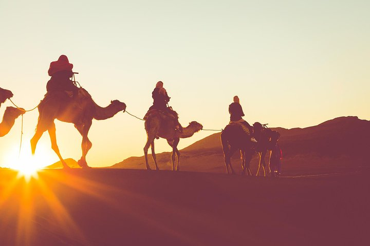 Sunset or Sunrise Camel ride