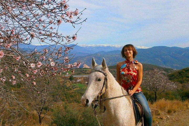 Alanya Horse riding 