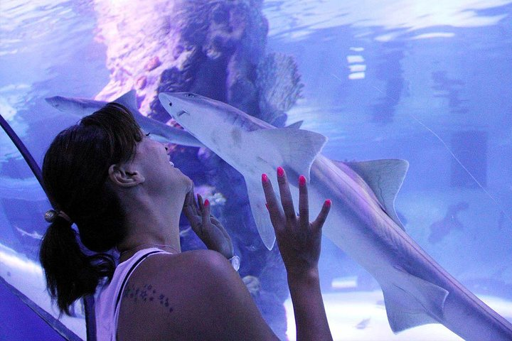 Antalya Tunnel Aquarium - Departure from Side - Photo 1 of 4