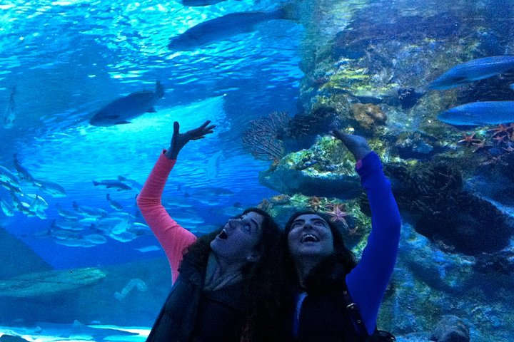 Antalya Aquarium