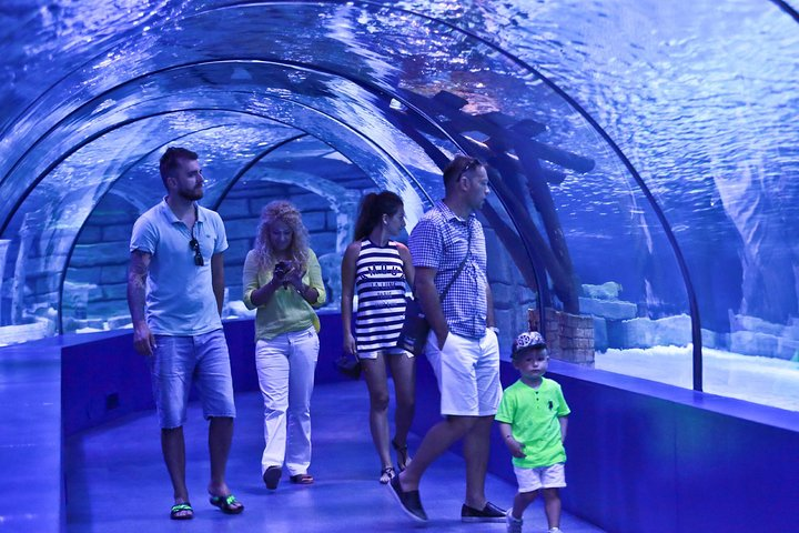 Aquarium & Face2Face Wax Museum from Belek - Photo 1 of 10