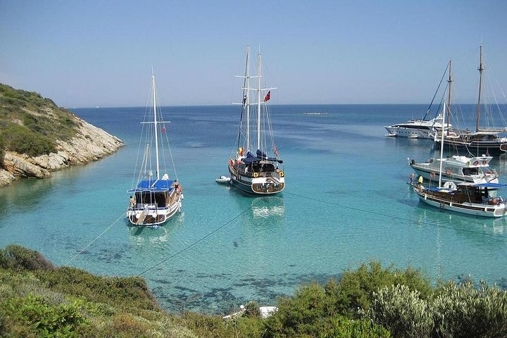 daily private boat tour