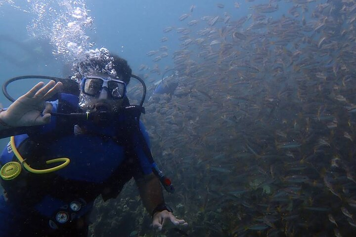 Bodrum Scuba Diving Tour With Free Hotel Transfer By Locals - Photo 1 of 9