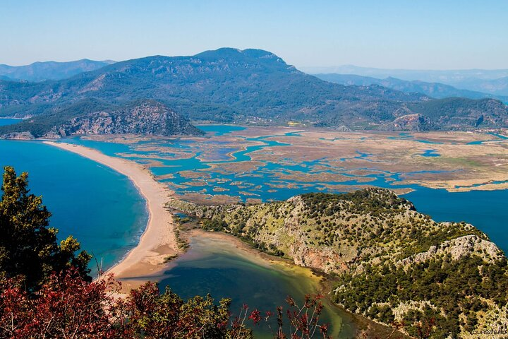 Bodrum Turtle Beach Tour With Mud Baths & King Tombs - Photo 1 of 8