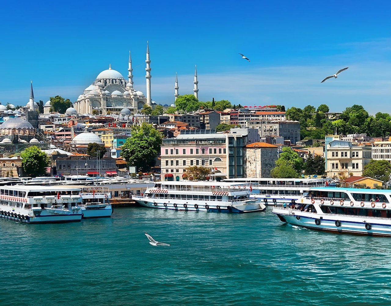 Bosphorus Cruise - Photo 1 of 8