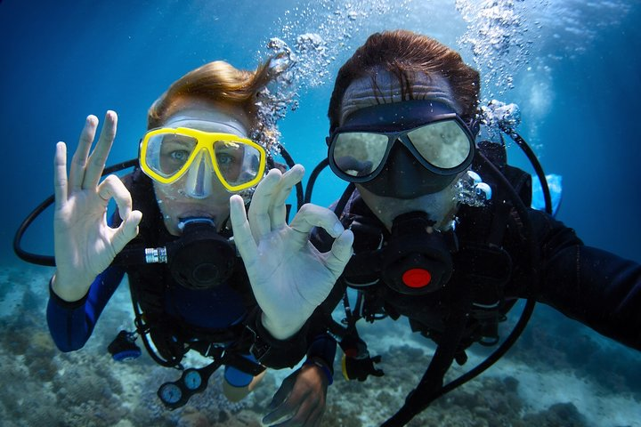 Diving in the Mediterranean sea - Photo 1 of 7