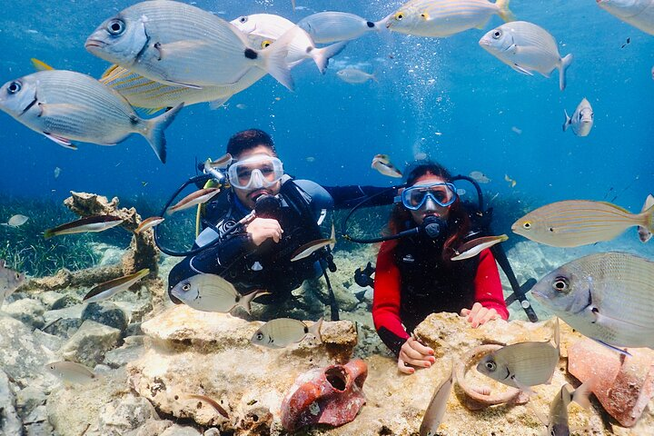 Guided Scuba Diving Experience in Kusadasi - Photo 1 of 5