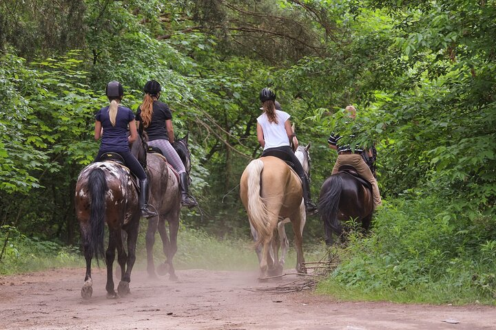 Horse Riding in Kusadasi - Photo 1 of 9