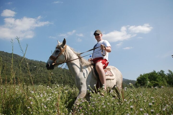 Bodrum Horse Safari