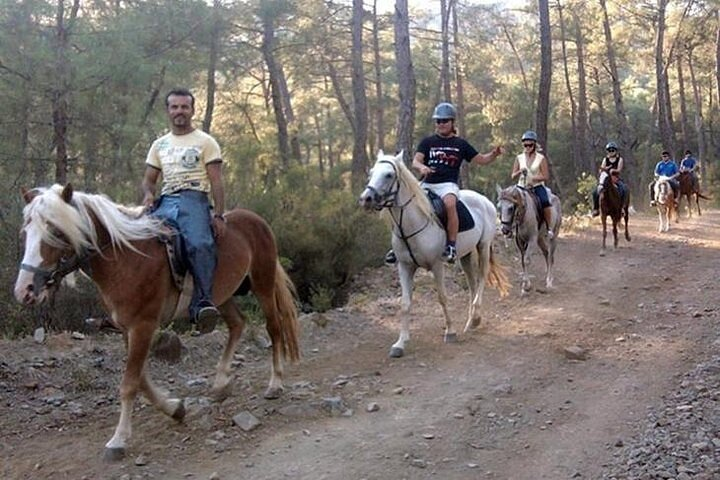 horse safari tours drom kemer