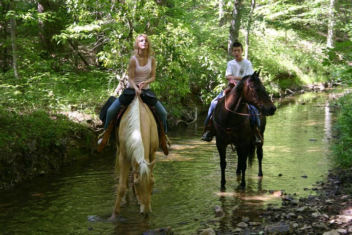 Horseback Riding Experience in Marmaris - Photo 1 of 6