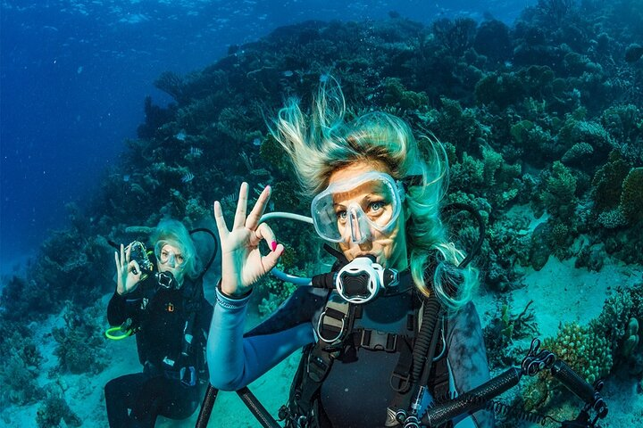 Kemer Scuba Diving Experience: Two Dives with Lunch  - Photo 1 of 8