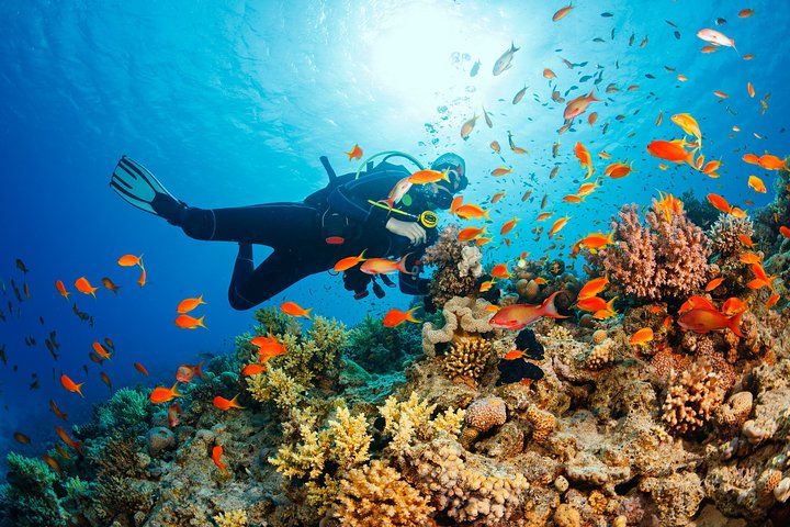 Marmaris Scuba Diving in crystal clear waters - Photo 1 of 10