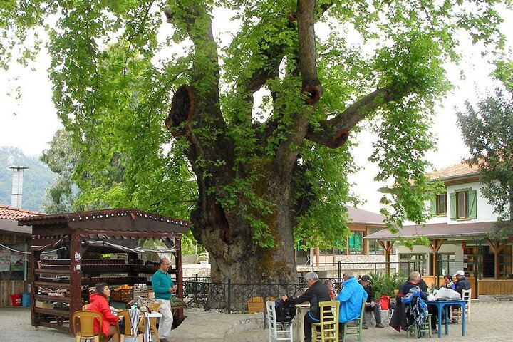 Marmaris Village Tour with Waterfalls & Visit Jesus Beach - Photo 1 of 9