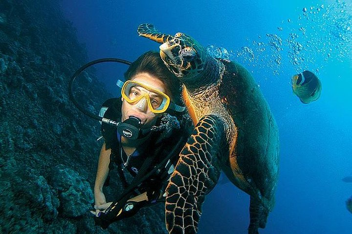 scuba diving by u can travel