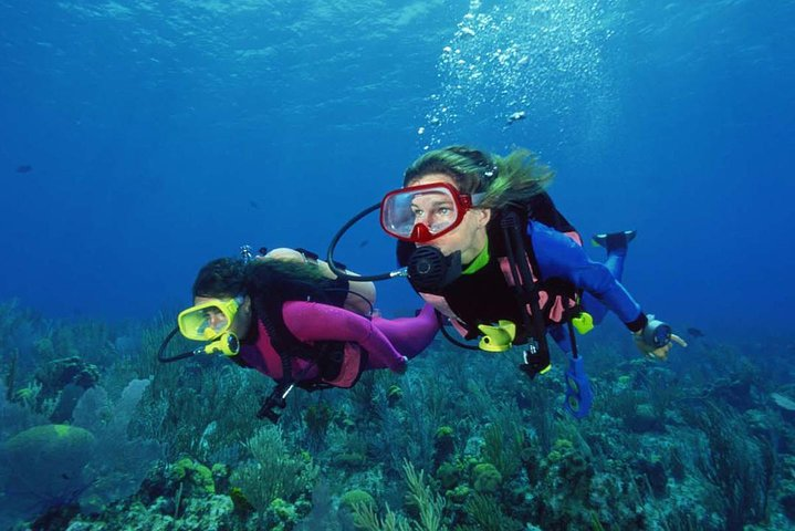 Scuba Diving Tour From Alanya - Side - Antalya - Photo 1 of 6