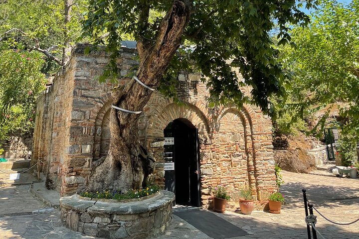 SKIP-THE-LINE: Private Ephesus & Terrace Houses Tour By Local Guide - Photo 1 of 11