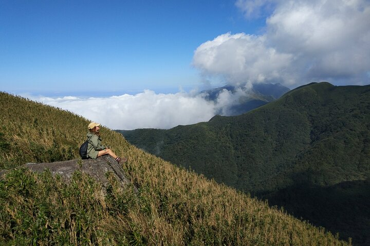 Yangmingshan trail